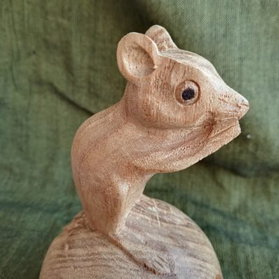 Hand-crafted Wood Squirrel on an Apple