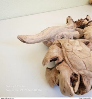 Vintage Set of 3 Reptiles, Wood Sculpture/Figurines - Image 5