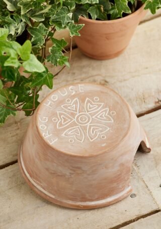 Terracotta Frog House 12 x 12 x 8cm - Image 3