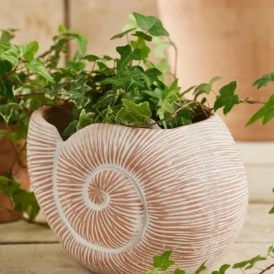 Terracotta Nautilus Planter, Handcrafted