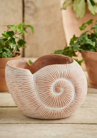 Terracotta Nautilus Planter, Handcrafted - Image 3