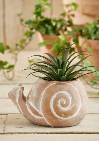 Terracotta Snail Planter, Handcrafted