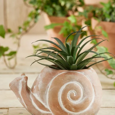Terracotta Snail Planter, Handcrafted
